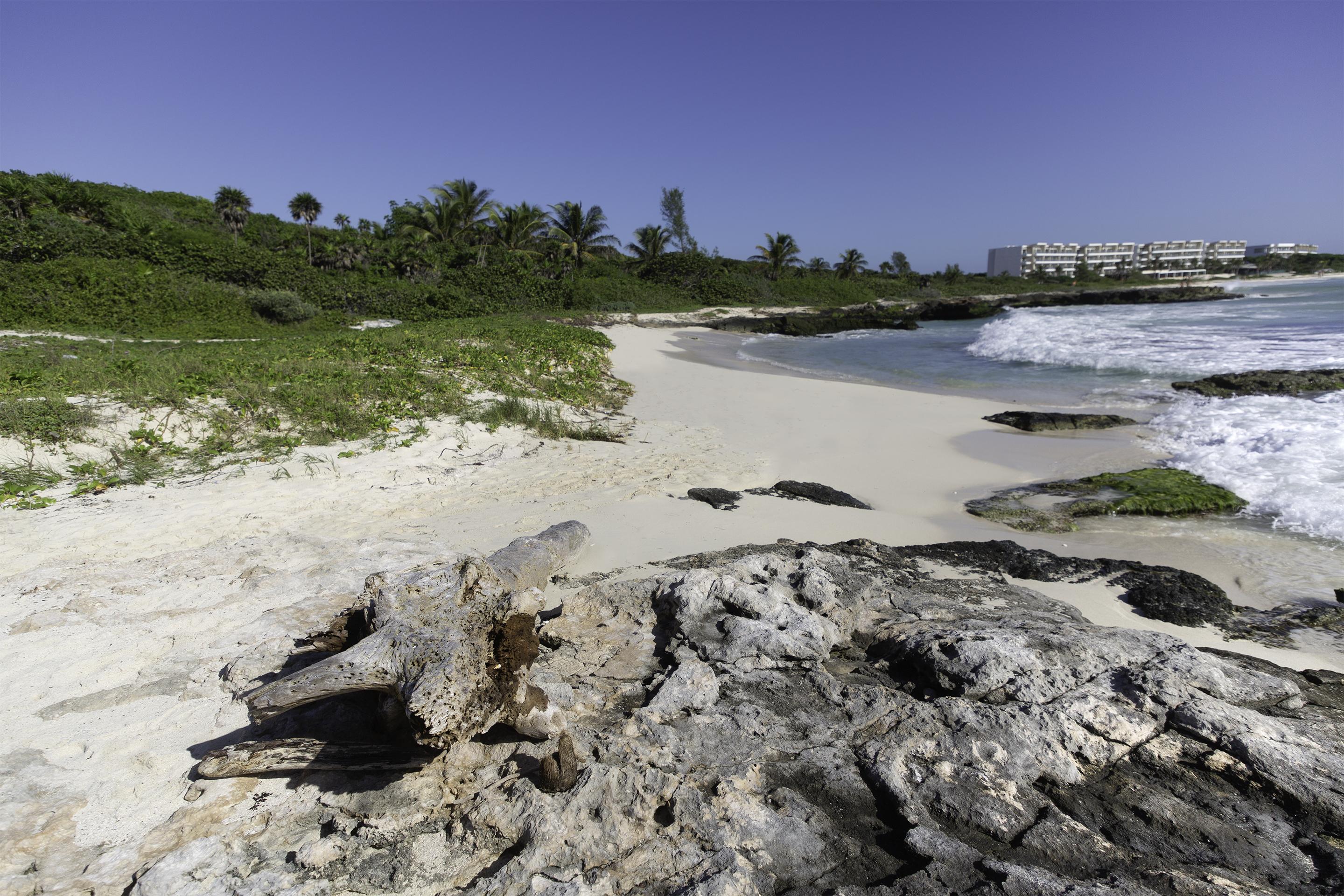 Palmaia The House Of Aia All Inclusive Wellness Resort Playa del Carmen Exterior photo